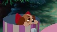 Backdrop to the movie "Lady and the Tramp" #854499