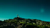 Backdrop to the movie "T2 Trainspotting" #727283