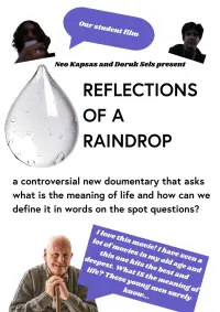Poster to the movie "Reflections in a Raindrop: A Student Film" #701182