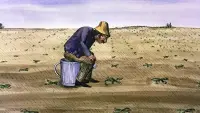 Backdrop to the movie "The Snails" #733831