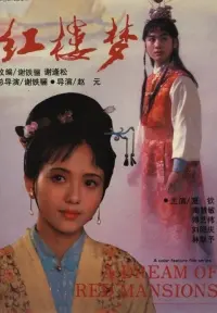 Poster to the movie "A Dream of Red Mansions" #846450