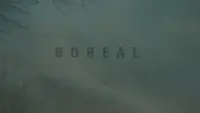 Backdrop to the movie "Boreal" #717973