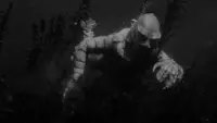 Backdrop to the movie "Creature from the Black Lagoon" #783006