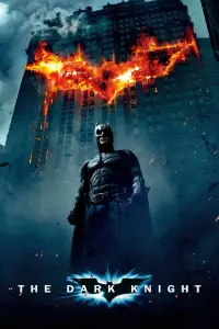 Poster to the movie "The Dark Knight" #900228