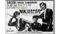 Backdrop to the movie "Ninjascope: The Magic World of Ninjas" #972798