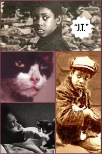 Poster to the movie "J.T." #745343