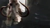 Backdrop to the movie "Oscar - The Return of the Mammoth" #885524