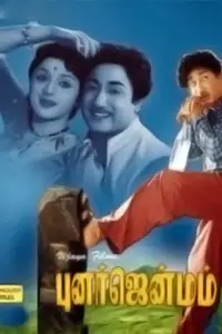 Poster to the movie "Punar Janmam" #893562