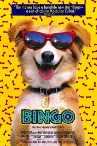 Poster to the movie "Bingo" #1088601