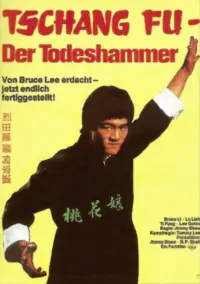 Poster to the movie "Fist of Fury 2" #1024013
