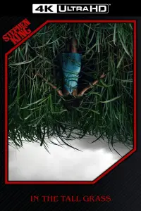 Poster to the movie "In the Tall Grass" #989890