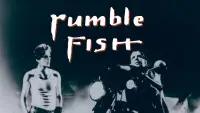 Backdrop to the movie "Rumble Fish" #1036398