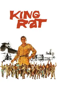 Poster to the movie "King Rat" #744386