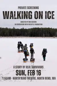 Poster to the movie "Walking on Ice" #736636