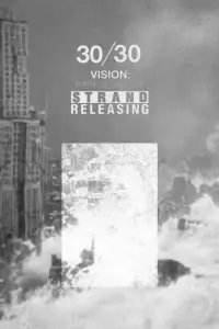 Poster to the movie "30/30 Vision: Three Decades of Strand Releasing" #986720