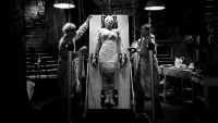 Backdrop to the movie "The Bride of Frankenstein" #870906
