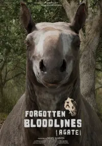 Poster to the movie "Forgotten Bloodlines: Agate" #657493