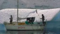 Backdrop to the movie "Berserk in the Antarctic" #799079