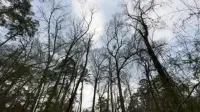 Backdrop to the movie "Nathan And His Dad Go Hiking" #710230