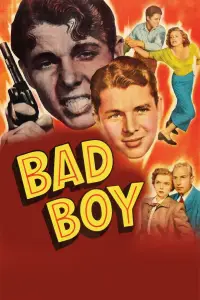 Poster to the movie "Bad Boy" #1179929