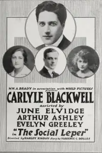 Poster to the movie "The Social Leper" #1255126