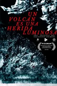 Poster to the movie "Un volcán es una herida luminosa" #793642