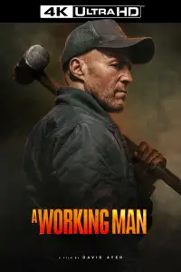 Poster to the movie "Levon