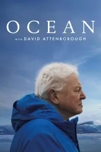 Poster to the movie "Ocean with David Attenborough" #617865