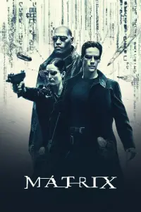 Poster to the movie "The Matrix" #1055048