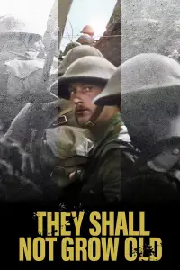 Poster to the movie "They Shall Not Grow Old" #1172066