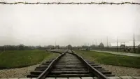 Backdrop to the movie "Beyond Freedom — The Life of Viktor Frankl" #896545