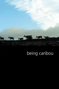 Poster to the movie "Being Caribou" #1091998