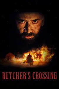 Poster to the movie "Butcher