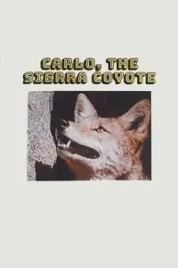 Poster to the movie "Carlo the Sierra Coyote" #839501