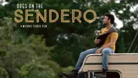 Backdrop to the movie "Dogs on the Sendero" #810173