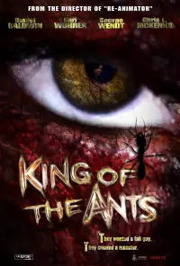 Poster to the movie "King of the Ants" #1018393