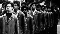 Backdrop to the movie "The Black Panthers: Vanguard of the Revolution" #1103826