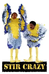 Poster to the movie "Stir Crazy" #1029639