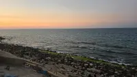 Backdrop to the movie "Love Poems Part II: Alexandria" #681388