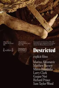 Poster to the movie "Destricted" #1080984