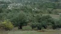 Backdrop to the movie "Where Is My Friend