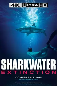 Poster to the movie "Sharkwater Extinction" #1047500