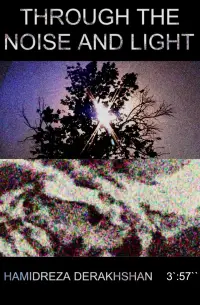 Poster to the movie "Through the noise and light" #1196521