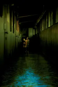 Poster to the movie "Dark Water" #840113