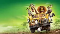 Backdrop to the movie "Madagascar: Escape 2 Africa" #776389