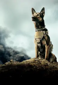 Poster to the movie "Max" #769636