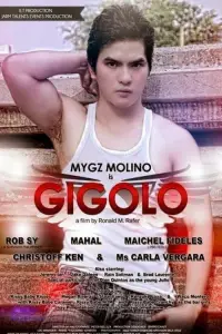 Poster to the movie "Gigolo" #1041679