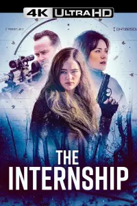 Poster to the movie "The Internship" #508277