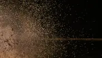 Backdrop to the movie "Star Wars" #815619
