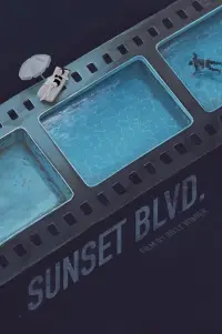 Poster to the movie "Sunset Boulevard" #867858